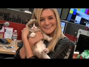 Grumpy Cat Visits TMZ!