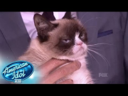 Top 6 - Look! It's Grumpy Cat! - AMERICAN IDOL XIII