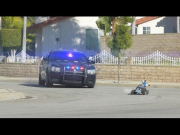 Cat Cop Chase