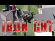 Iron Cat