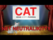 TED TALKS - Kittens on Net Neutrality (Cute Kitten Version)