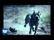 Foals - What Went Down [Official Music Video]