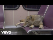 Modest Mouse - Coyotes