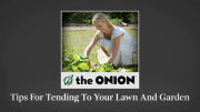 Tips For Tending To Your Lawn And Garden