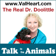 The Real Dr Doolittle Show With Val Heart | Animal Talk | Talk to Dogs | Talk to Horses | Talk to Cats | Animal Whisperer | Telepathy | Animal Communication