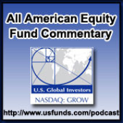 All American Equity Fund Portfolio Direct Commentary