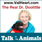 The Real Dr Doolittle Video Show With Val Heart | Talk to Animals | Dogs | Horses | Cats | Pets