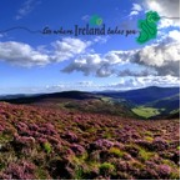 Discover Ireland - Tales for the road