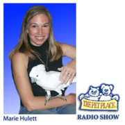 The Pet Place Radio Show with Marie Hulett | Blog Talk Radio Feed