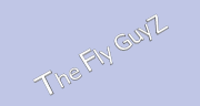 The Fly Guyz