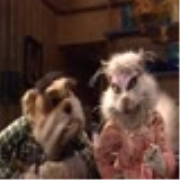 Dog City: Cats N' Dogs (S1E12)