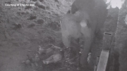 English zoo celebrates birth of rare Asian elephant