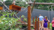 Immersive squirrel monkey exhibit opens at Australia zoo