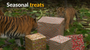 Animals at London zoo receive seasonal gifts