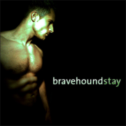 bravehound.com - Andrew McDonald's Blog » My House Mixes
