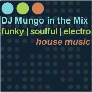 DJ Mungo in the Mix