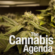 The Cannabis Agenda Podcast - A weekly marijuana radio show distributed as a podcast. Hey, it's organic!