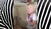 Yikes, stripes! Little girl turns baby sister into zebra with marker