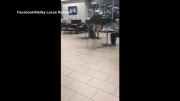 Deer pays surprise visit to U.S. car dealership