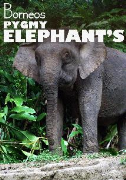 Borneo's Pygmy Elephants