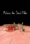 Malaria, the Serial Killer