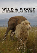 Wild & Woolly: An Elephant And His Sheep