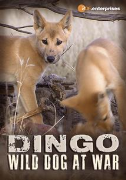 Dingo - Wild Dog at War