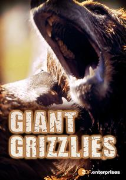 Giant Grizzlies
