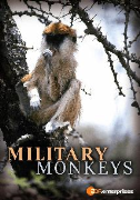 Military Monkeys