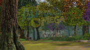 Alpha and Omega 5: Family Vacation