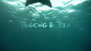 Dugong and Din