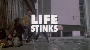 Life Stinks