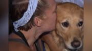 Meet the Comfort Dogs From Around the Country Helping the Orlando Victims