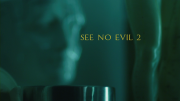 See No Evil 2