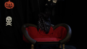 13 Nights of Elvira: Puppet Master