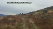 Bikers narrowly avoid herd of deer