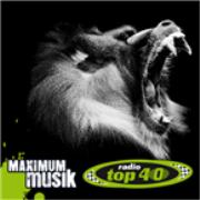 radio TOP 40 Charts Channel - *TOP 40* C. - 128 kbps MP3
