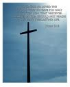 The Spirit & the Sword