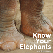 Know Your Elephants