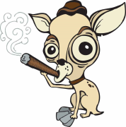 Tales of the Smoking Chihuahua