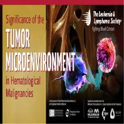Significance of the Tumor Microenvironment in Hematological Malignancies