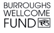 Burroughs Wellcome Fund FOCUS in Sound