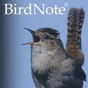 BirdNote Podcast RSS Feed