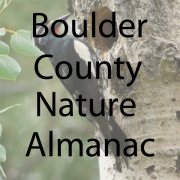 Boulder County Nature Almanac
