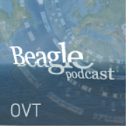 Beagle OVT