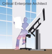 Critical Enterprise Architecture netcast