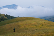 Introducing Mount Diablo