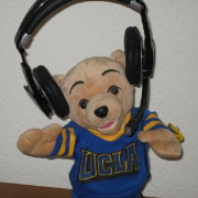 The Bruin Show