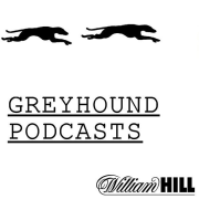 William Hill Greyhounds betting podcast