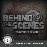 Wildlife Documentaries: Behind The Scenes | Earth Touch Web TV